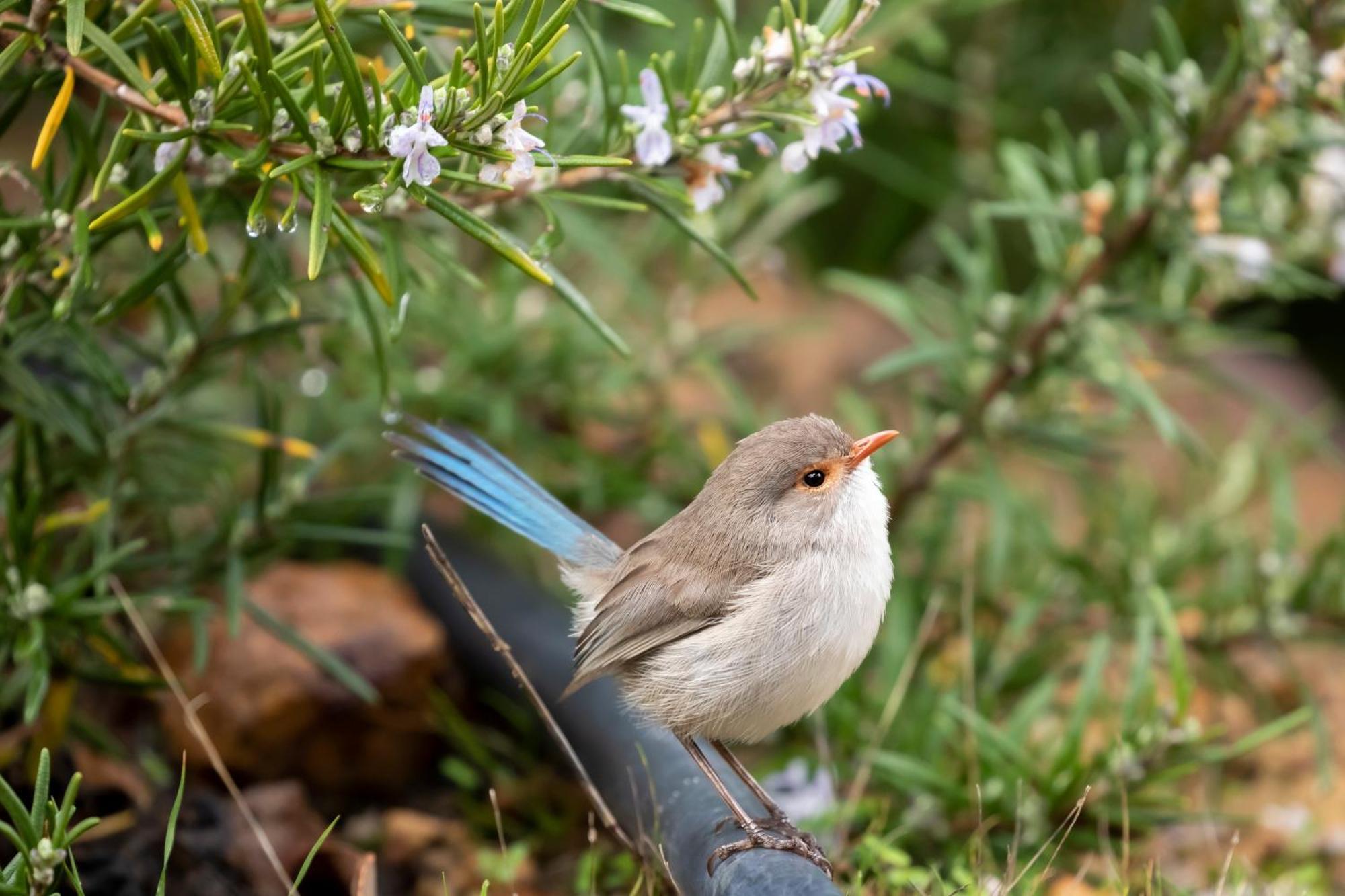Yelverton Brook Conservation Sanctuary Metricup Экстерьер фото