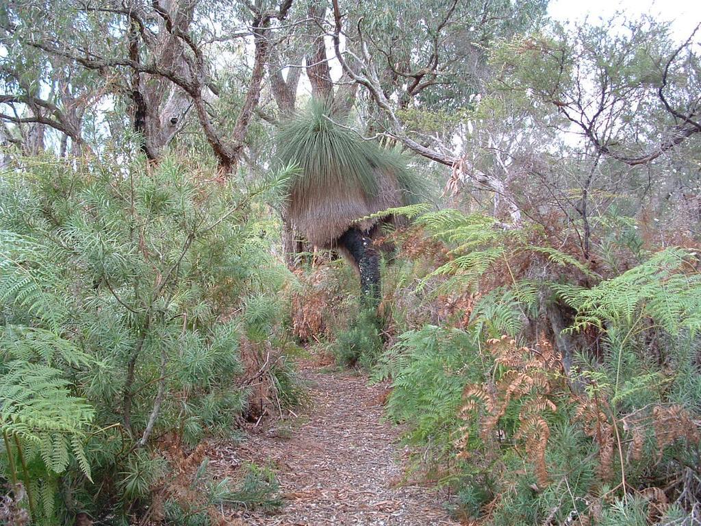 Yelverton Brook Conservation Sanctuary Metricup Экстерьер фото